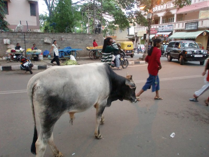 India Trip - July 2010 228.jpg